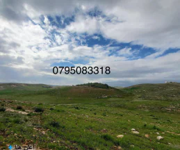 أرض -  عمان شفابدران بجانب اسكان وزارة التربية  - 650000 دأ