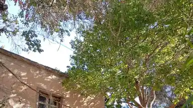 أرض في الطفيلة ام قرى - 25,000 دأ - صورة NaN