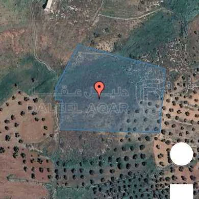 أرض في جرش الكفير مدخل مشاتل فيصل السيل - 58,000 دأ - صورة 1