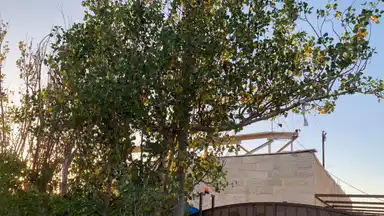 فيلا/منزل في السلط - قرب مضافة الحياصات - 150,000 دأ - صورة NaN