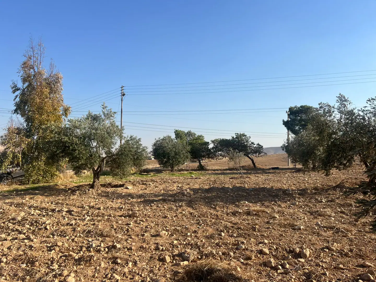 أرض في الزرقاء - 38,000 دأ - صورة 1