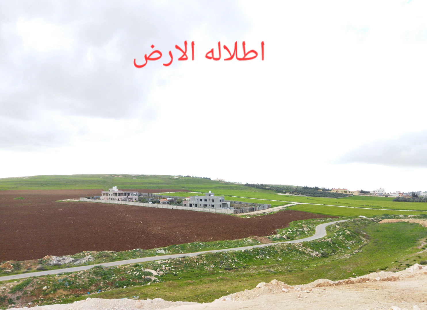 أرض في عمان ام البساتين صحبة رقم القطعة 756 - 185,000 دأ - صورة 1