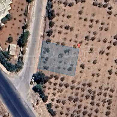 أرض في الرادود إسكان الصيادلة قرب مسجد الزغير  - 90,000 دأ - صورة 1