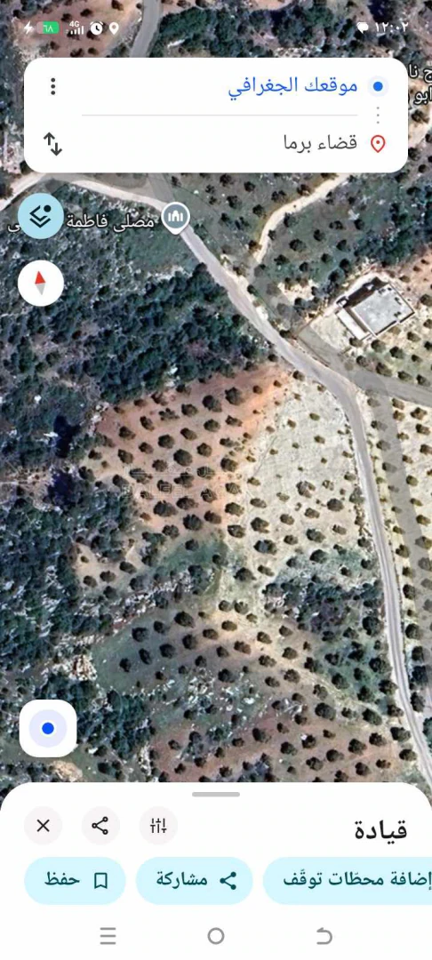 أرض في جرش برما دبين - 60,000 دأ - صورة 1