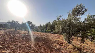 أرض في ارض ريفية جميلة جدا ومزروعه زيتون - 119,000 دأ - صورة NaN