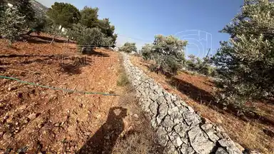 أرض في ارض ريفية جميلة جدا ومزروعه زيتون - 119,000 دأ - صورة NaN