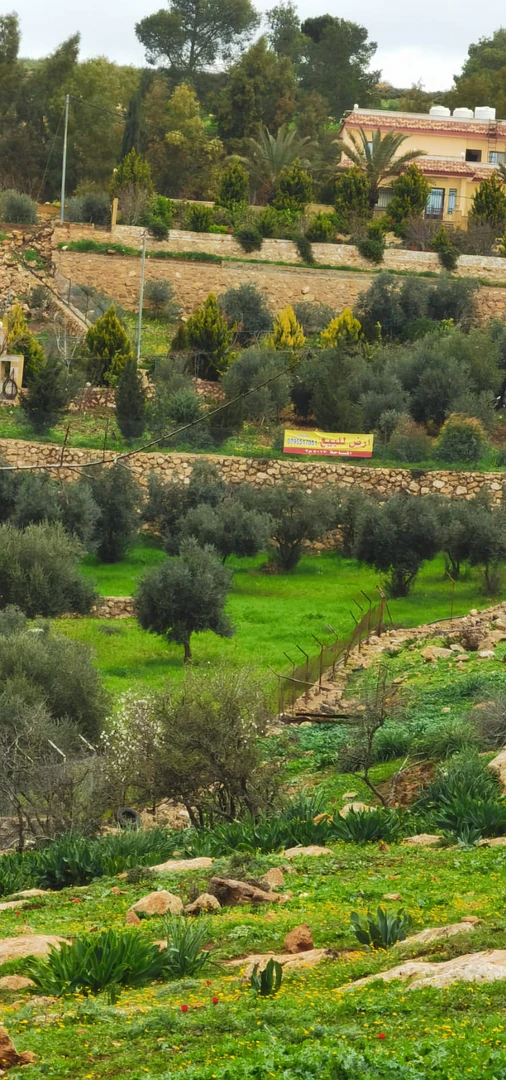 أرض في طريق جرش السياحي  - 73,000 دأ - صورة 1