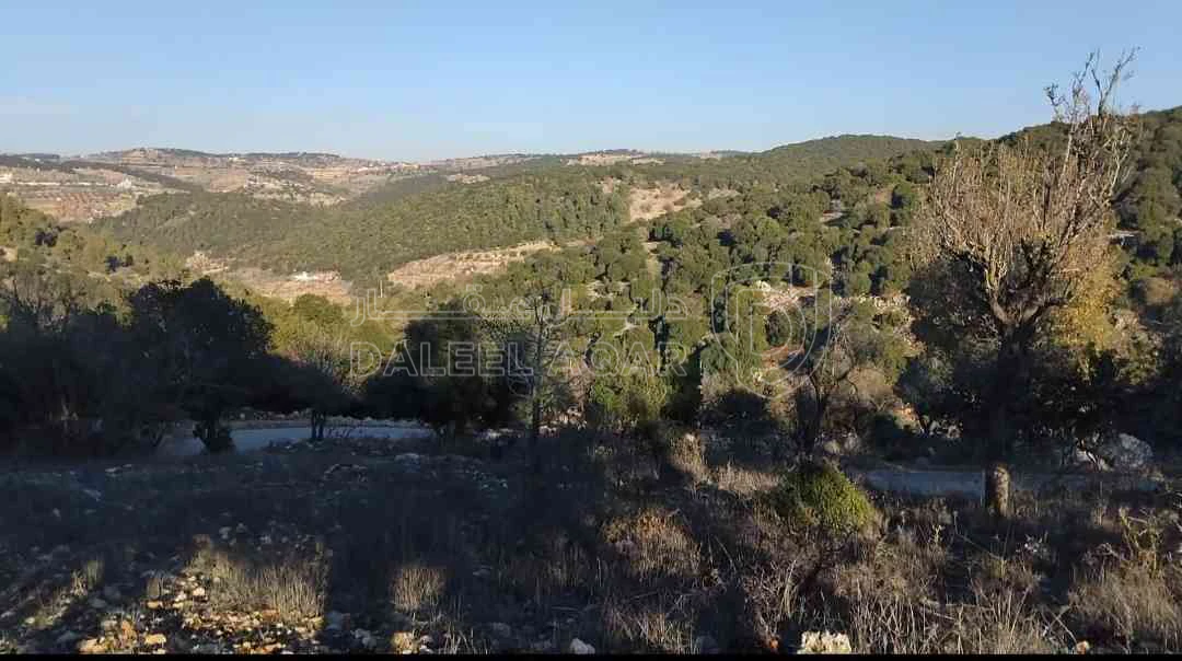 أرض في عجلون عين جنا  - 35,000 دأ - صورة 1