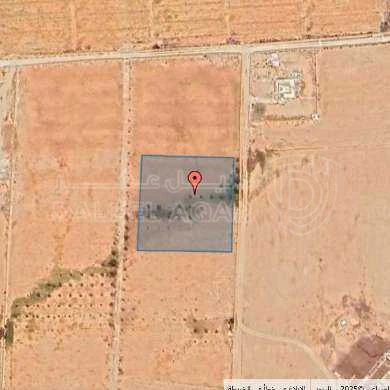 أرض في عمان ارينبة الغربي  - 25,000 دأ - صورة 1