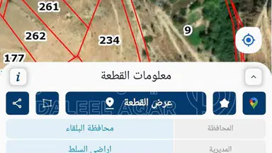 أرض في وادي الشعيب ٣٥٠٠ م متر مفروز بسعر مناسب - 40,000 دأ - صورة NaN