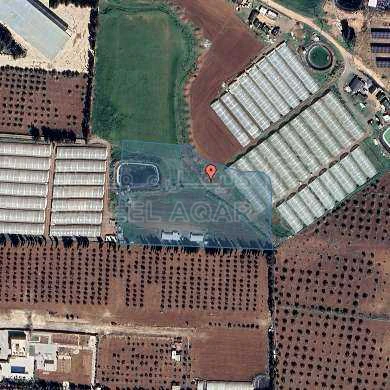 أرض في AL Zaytounah  - 300,000 دأ - صورة 1
