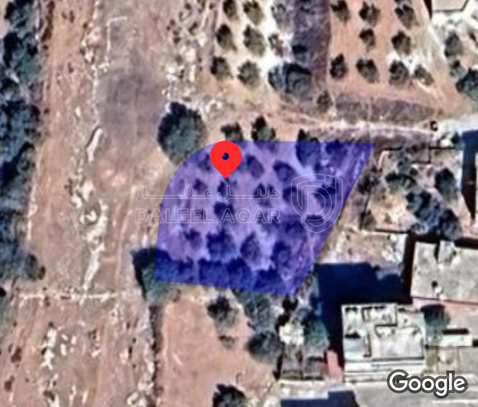 أرض في ناعور  المنصورة  - 75,000 دأ - صورة 1