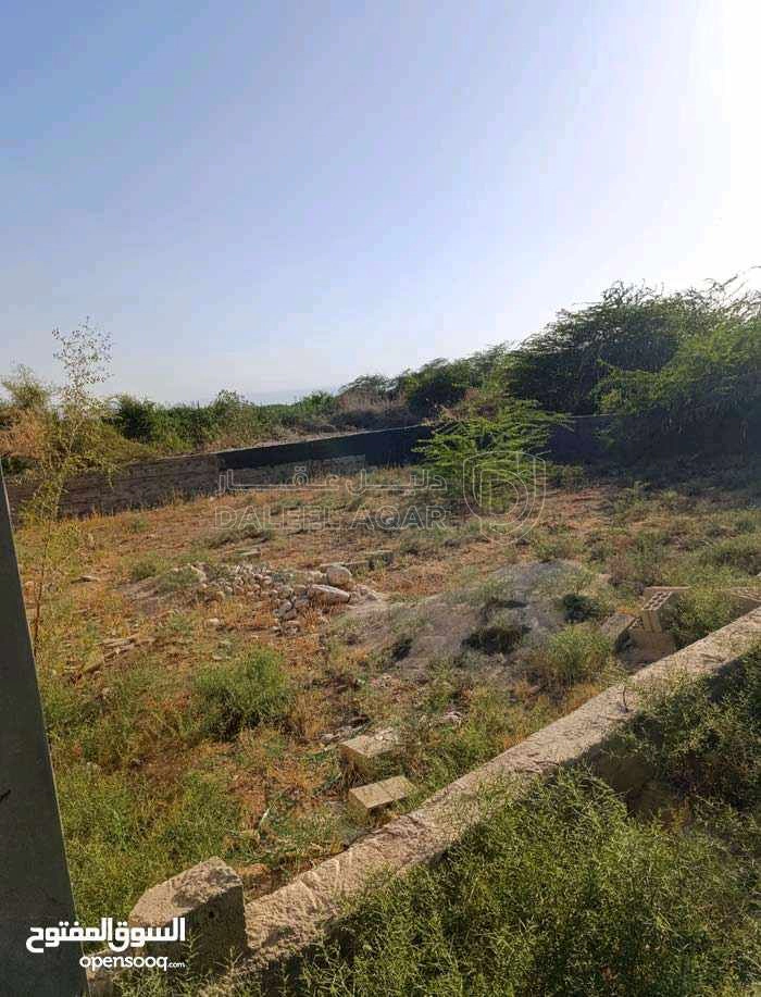 أرض في قرب نصب الجندي المجهول - 28,000 دأ - صورة 1