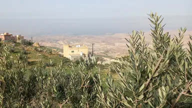 أرض - عمان ناعور منطقة تركي شارع العشرين - 120000 دأ