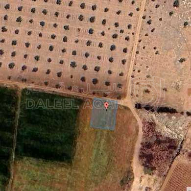 أرض في منطقة جنوب عمان - 72,000 دأ - صورة 1