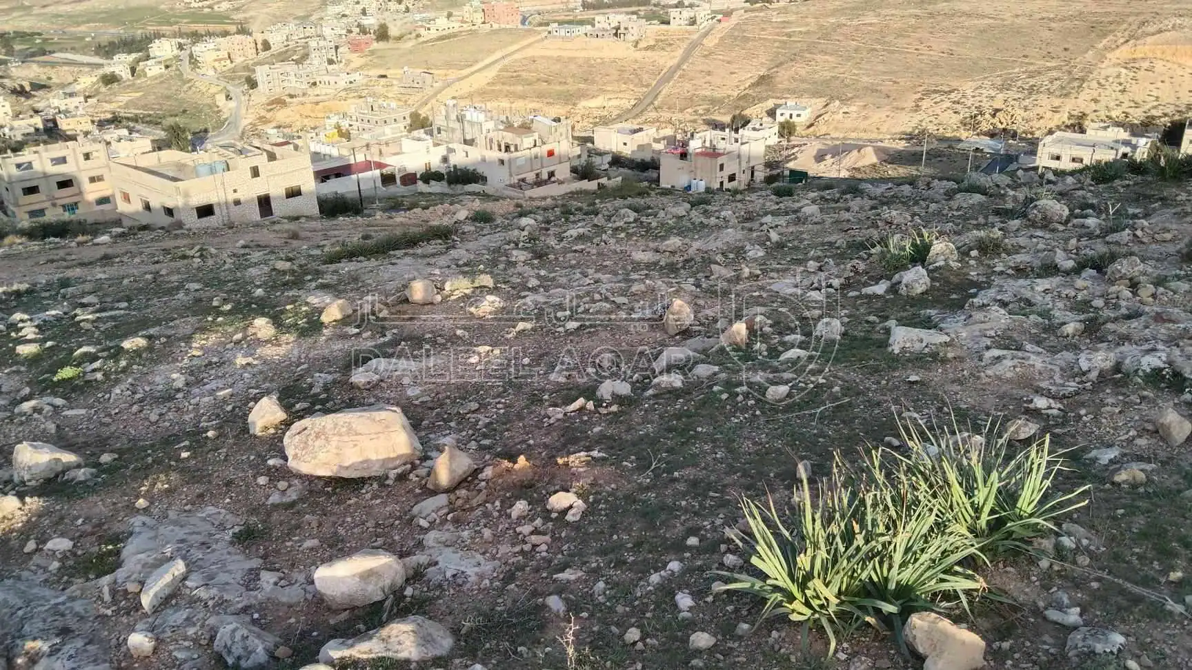 أرض في الزرقاء ابو الزبغان الشرقي  - 12,000 دأ - صورة 1