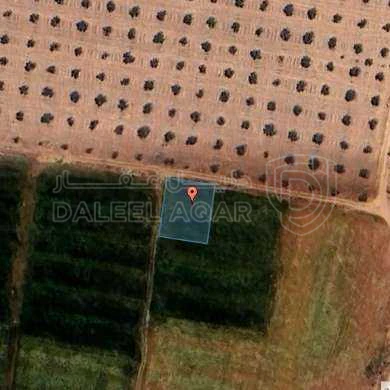 أرض في منطقة جنوب عمان - 72,000 دأ - صورة 1