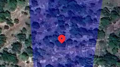 أرض في قطعة أرض بإطلالة ساحرة للبيع في عجلون - 100,000 دأ - صورة NaN