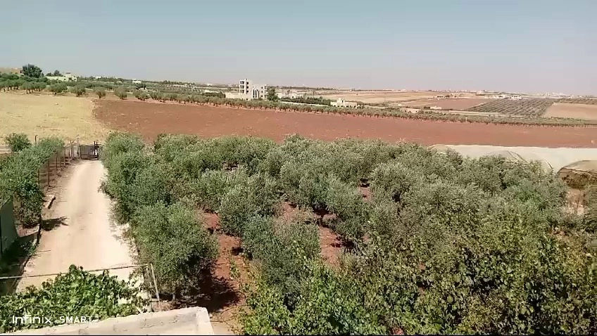 أرض في مادبا - ماعين  - 80,000 دأ - صورة 1