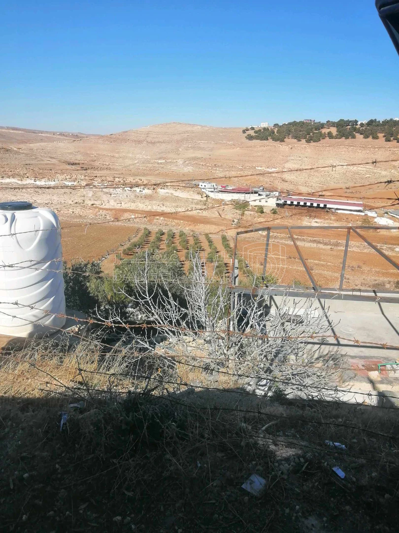 أرض في الكرك مثلث بعد مثلث غابة عينون ٨٠٠م - 55,000 دأ - صورة 1
