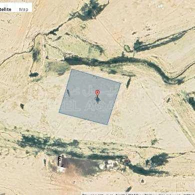 أرض في محافظة العاصمة- جنوب عمان- الطنيب - 14,000 دأ - صورة 1