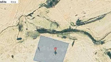 أرض - محافظة العاصمة- جنوب عمان- الطنيب - 14000 دأ