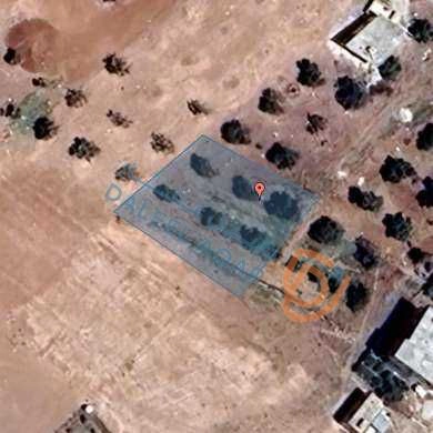 أرض في المفرق بلعما  - 23,000 دأ - صورة 1