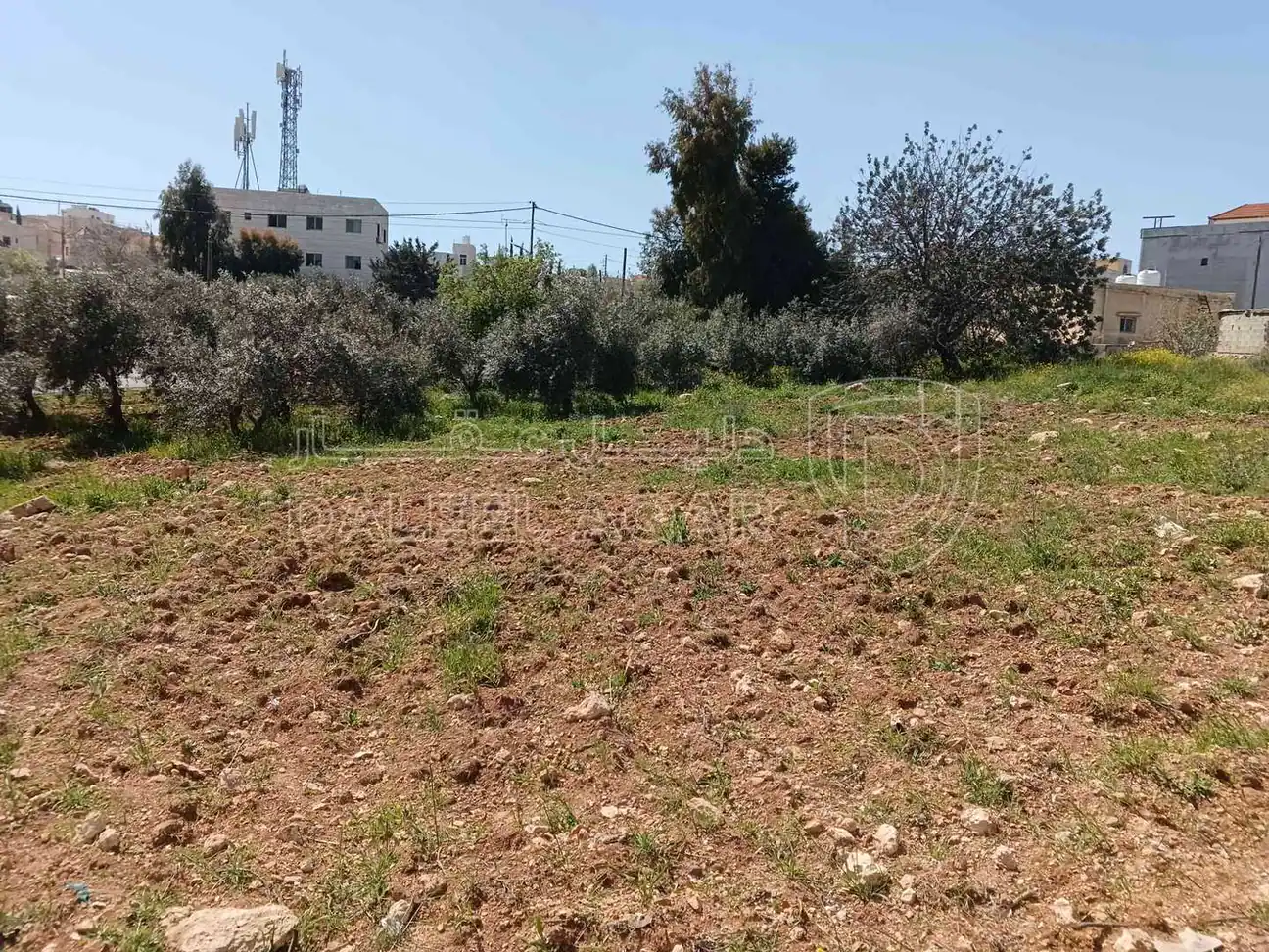 أرض في أرض للبيع شفا بدران  - 950,000 دأ - صورة 1