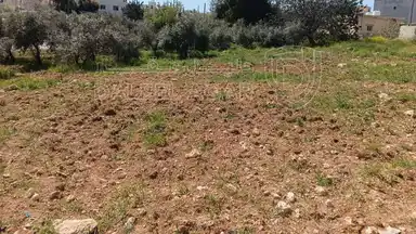 أرض في أرض للبيع شفا بدران  - 950,000 دأ - صورة NaN