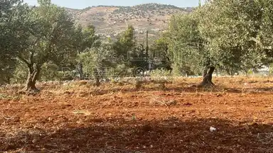 أرض في ارض ريفية جميلة جدا ومزروعه زيتون - 119,000 دأ - صورة NaN
