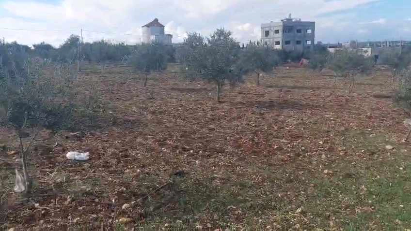 أرض في اربد قرية تقبل ام الجدايل  - 27,000 دأ - صورة 1