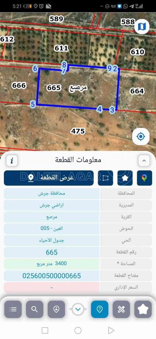 أرض في مرصع طريق الراية  - 90,000 دأ - صورة 1