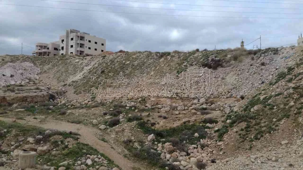 أرض في ارض للبيع في الزرقاء (جريبا ) - 25,500 دأ - صورة 1