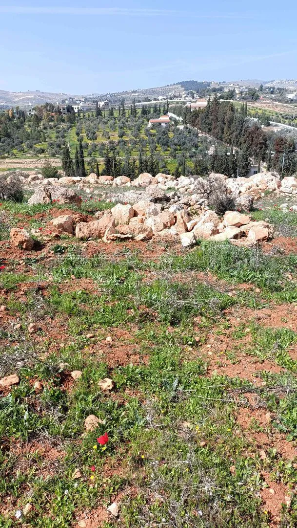 أرض في منطقة دحل طريق الزرقاء جرش - 50,000 دأ - صورة 1