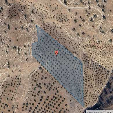 أرض في جرش  - 100,000 دأ - صورة 1