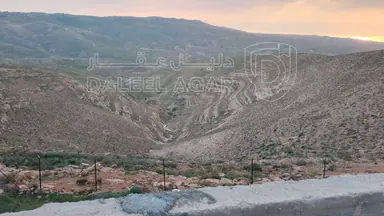 أرض في أراضي مادبا  - 140,000 دأ - صورة NaN