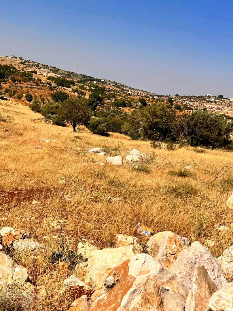 أرض في عجلون صخرة - حوض المشماس - 60,000 دأ - صورة 1