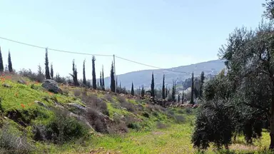 أرض في منطقة دحل طريق الزرقاء جرش - 50,000 دأ - صورة NaN