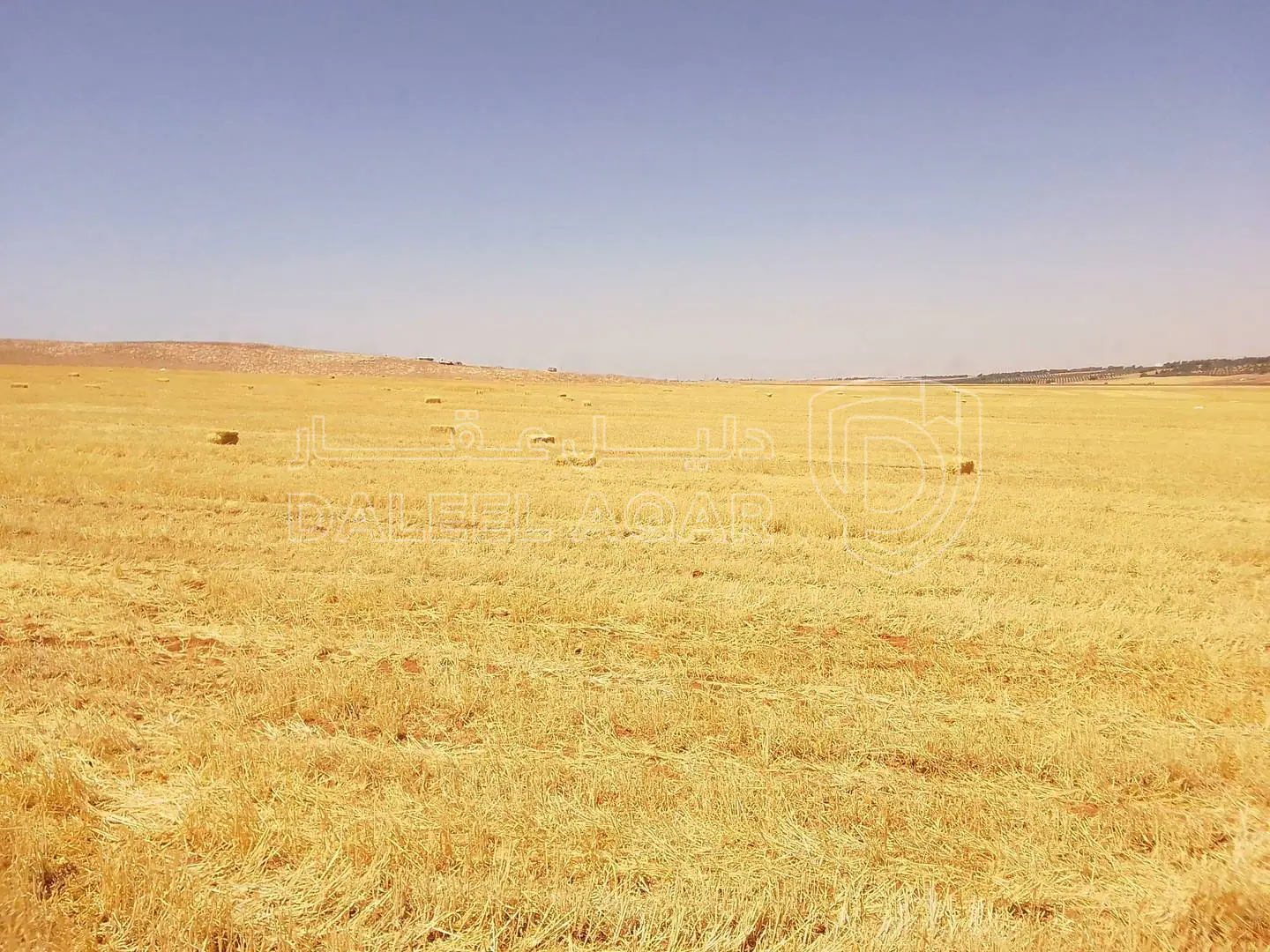 أرض في غرب الجامعة الأمريكية  - 63,600 دأ - صورة 1