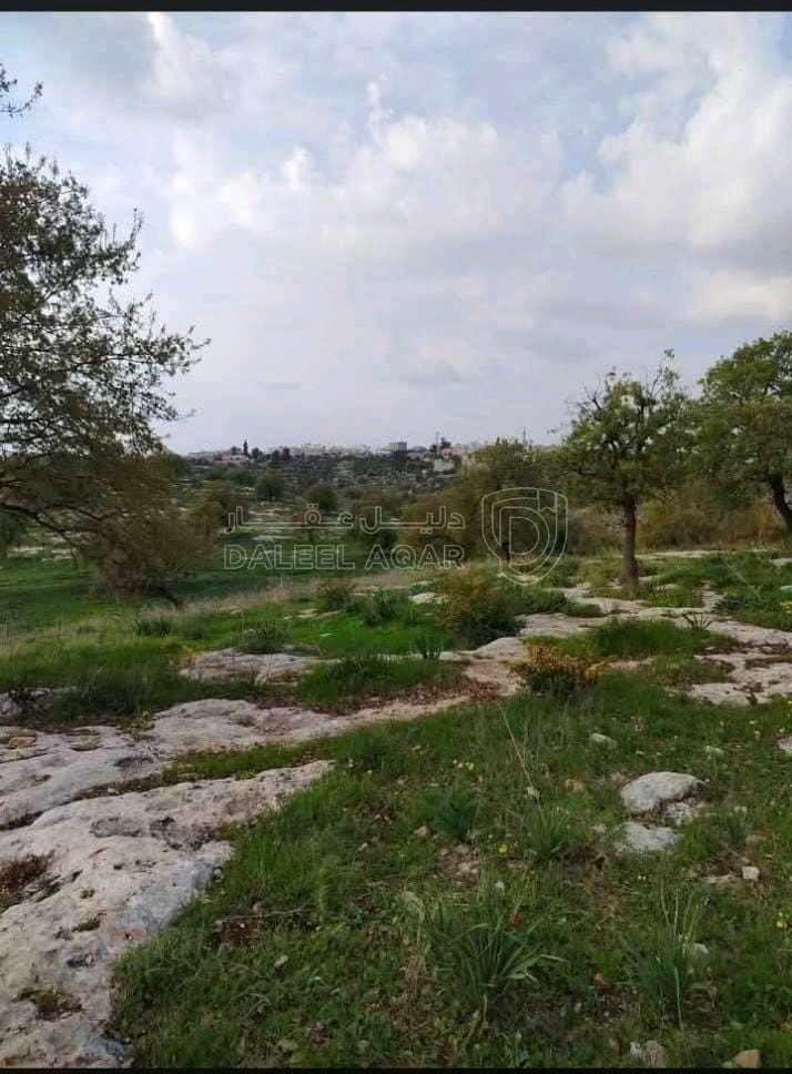 أرض في اربد الطيبه زبدا الوسطيه العرقوب الشرقي - 28,000 دأ - صورة 1
