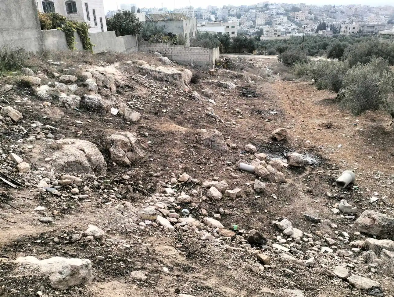 أرض في اربد بيت راس - 32,000 دأ - صورة 1