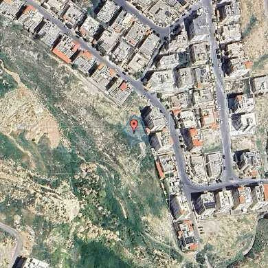 أرض في ارض للبيع في الجبيهة - 192,000 دأ - صورة 1