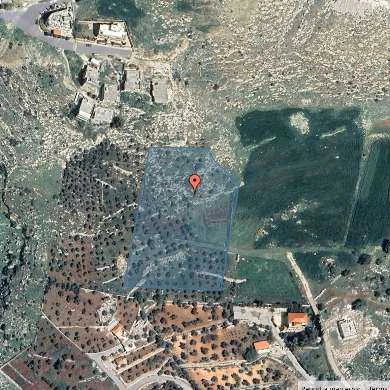 أرض في اراضي غرب عمان  - 567,750 دأ - صورة 1