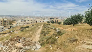 أرض في شارع لبنان - 350,000 دأ - صورة NaN