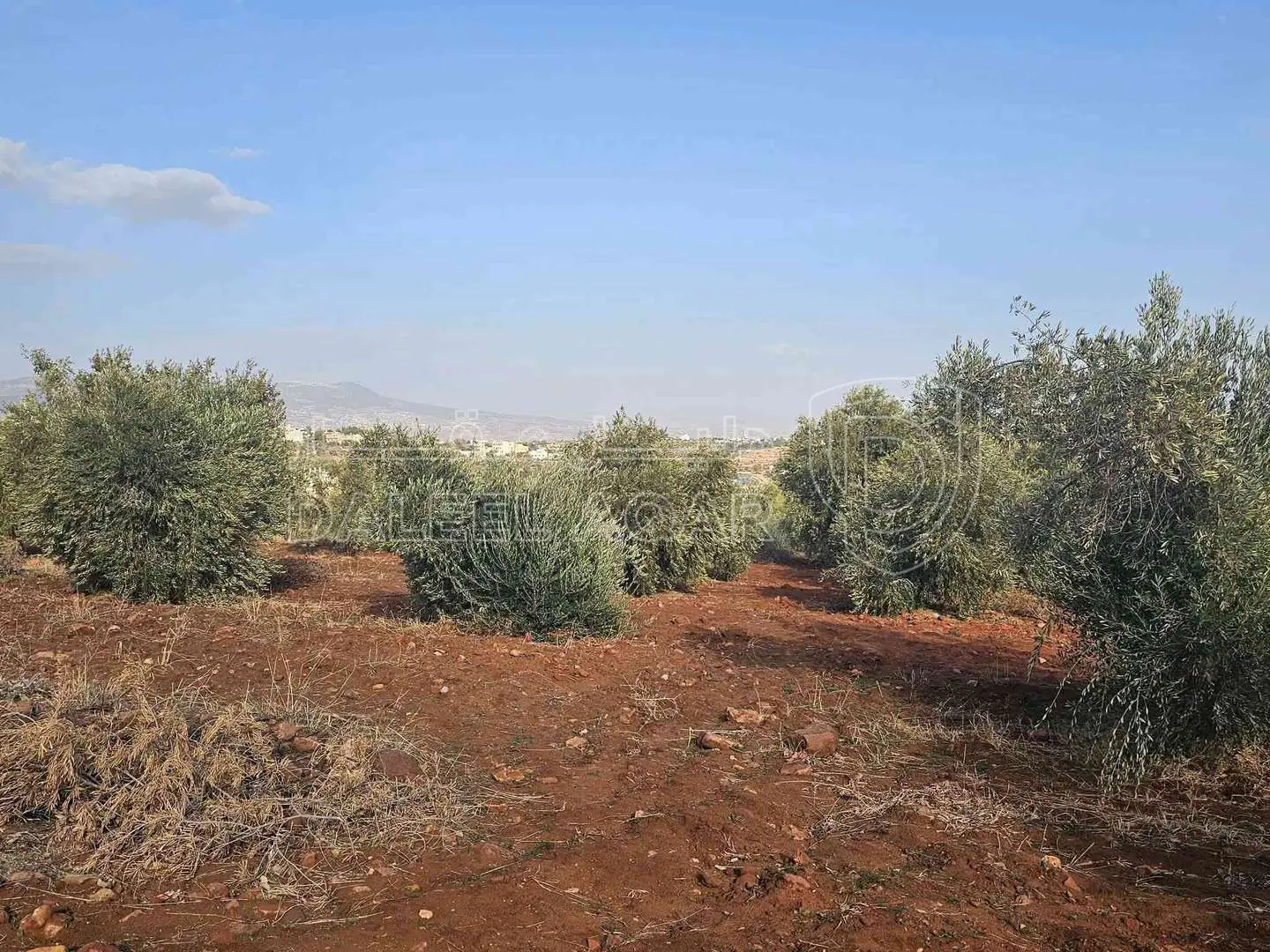 أرض في أرض للبيع - 75,000 دأ - صورة 1