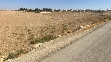 أرض في ارينبة الغربية , خلف مجلس محلي ارينبة الغربية - 17,250 دأ - صورة NaN