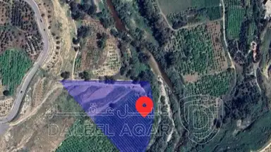 أرض في جرش المجدل - 360,000 دأ - صورة NaN