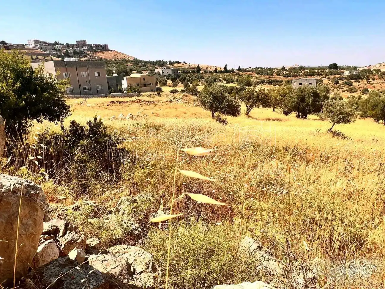 أرض في عجلون صخرة - حوض المشماس - 60,000 دأ - صورة 1