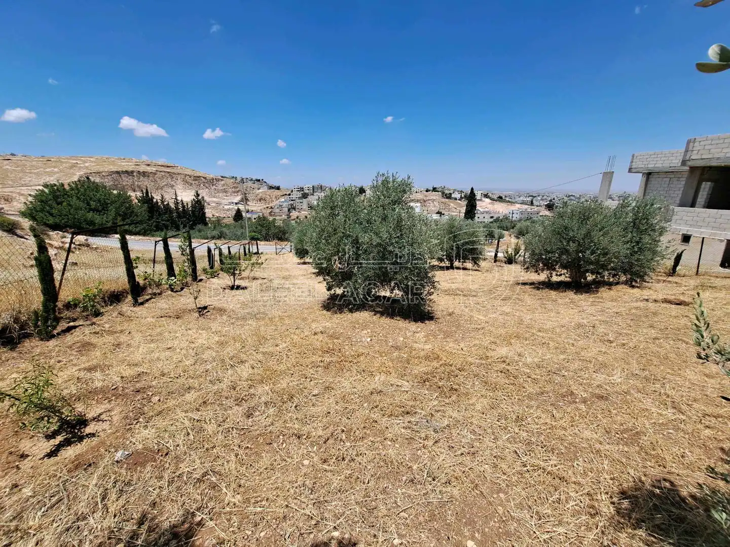 أرض في اربد الحصن  - 38,500 دأ - صورة 1