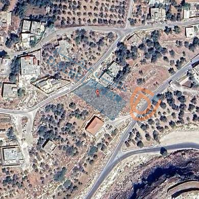 أرض في عمان - ناعور -  الروضه   - 45,000 دأ - صورة 1